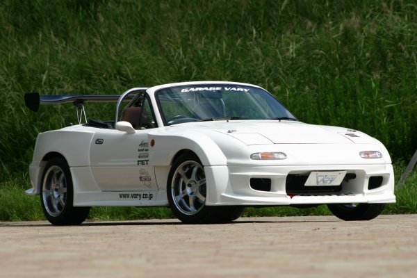 Side Step (Race Use) (FRP)