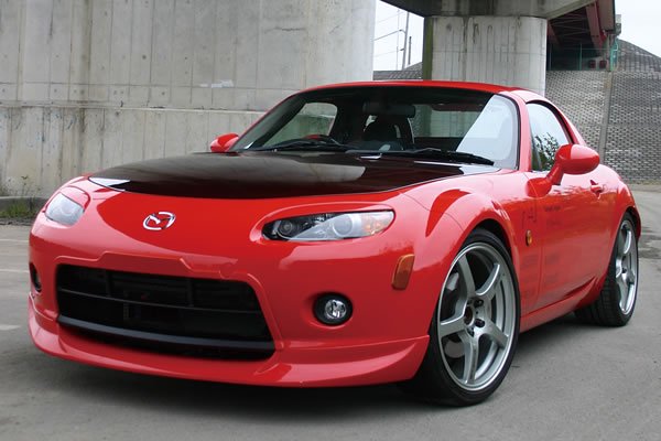 Bumper Mouse (FRP)
