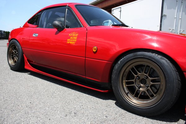 Side Step T-S (FRP)