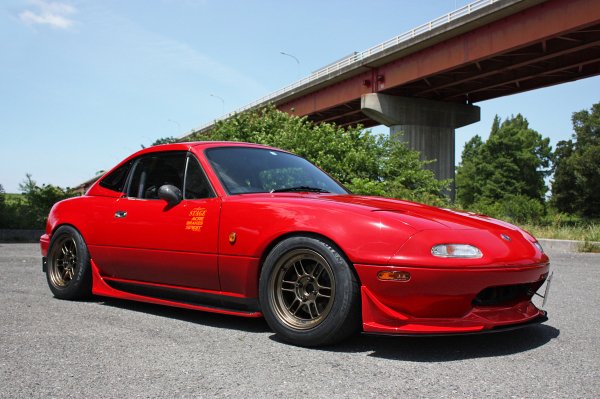 Side Step T-S (FRP)