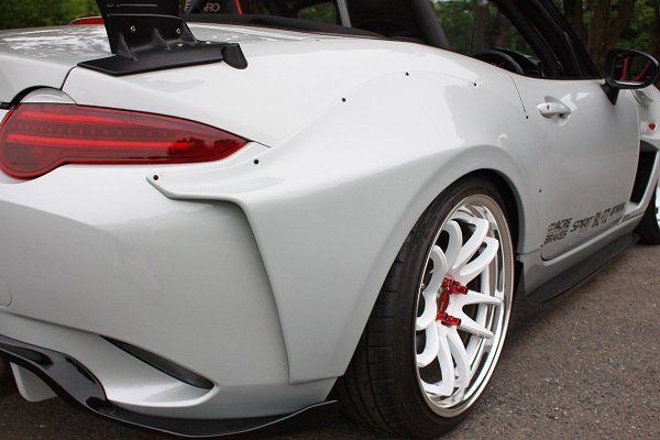 Nanchatte Blister Fender